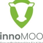 MethiFit unterstützt Milchkühe beim Laktationsstart