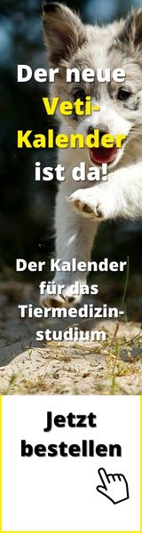 Veti-Kalender 2025/2026