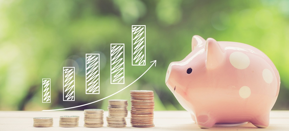 Positive Trends in der tierärztlichen Lohnstruktur