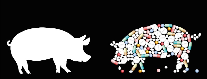 BfR: Antibiotikaverbrauchsmengen in 2025 leicht rückläufig – Resistenzentwicklung unerfreulich