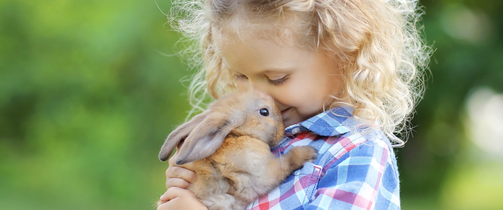 Zahl der Heimtiere bei stabilen Umsätzen gesunken