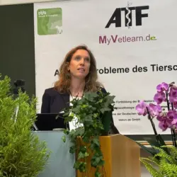 A. Mihali, Neubiberg: Tierschutzprobleme bei der Haltung von Hengsten und aktuelle Empfehlungen