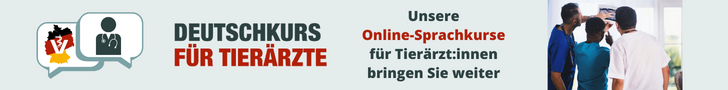www.deutschkurs-tieraerzte.com